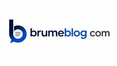 brumeblog com