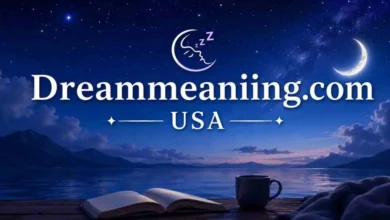 dreammeaniing.com usa