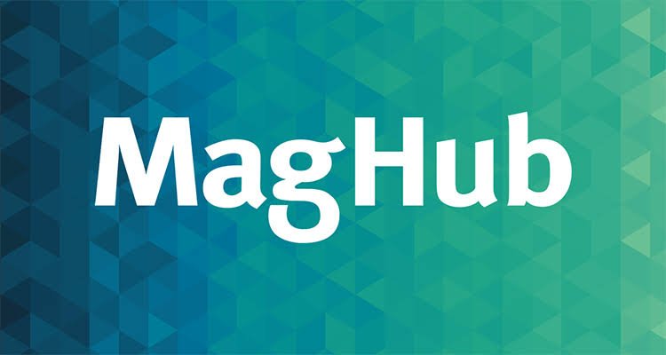 magfusehub com